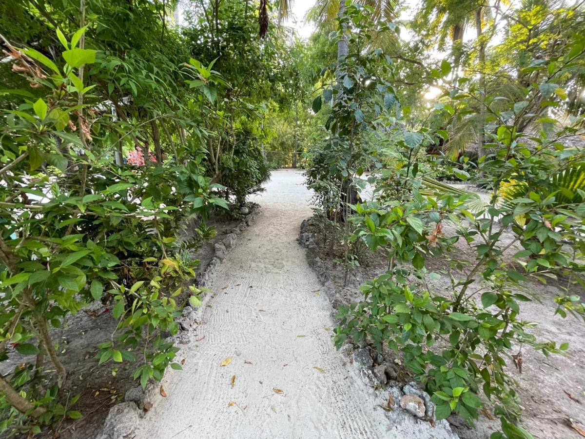 Your Zanzibar Place Paje Eksteriør bilde