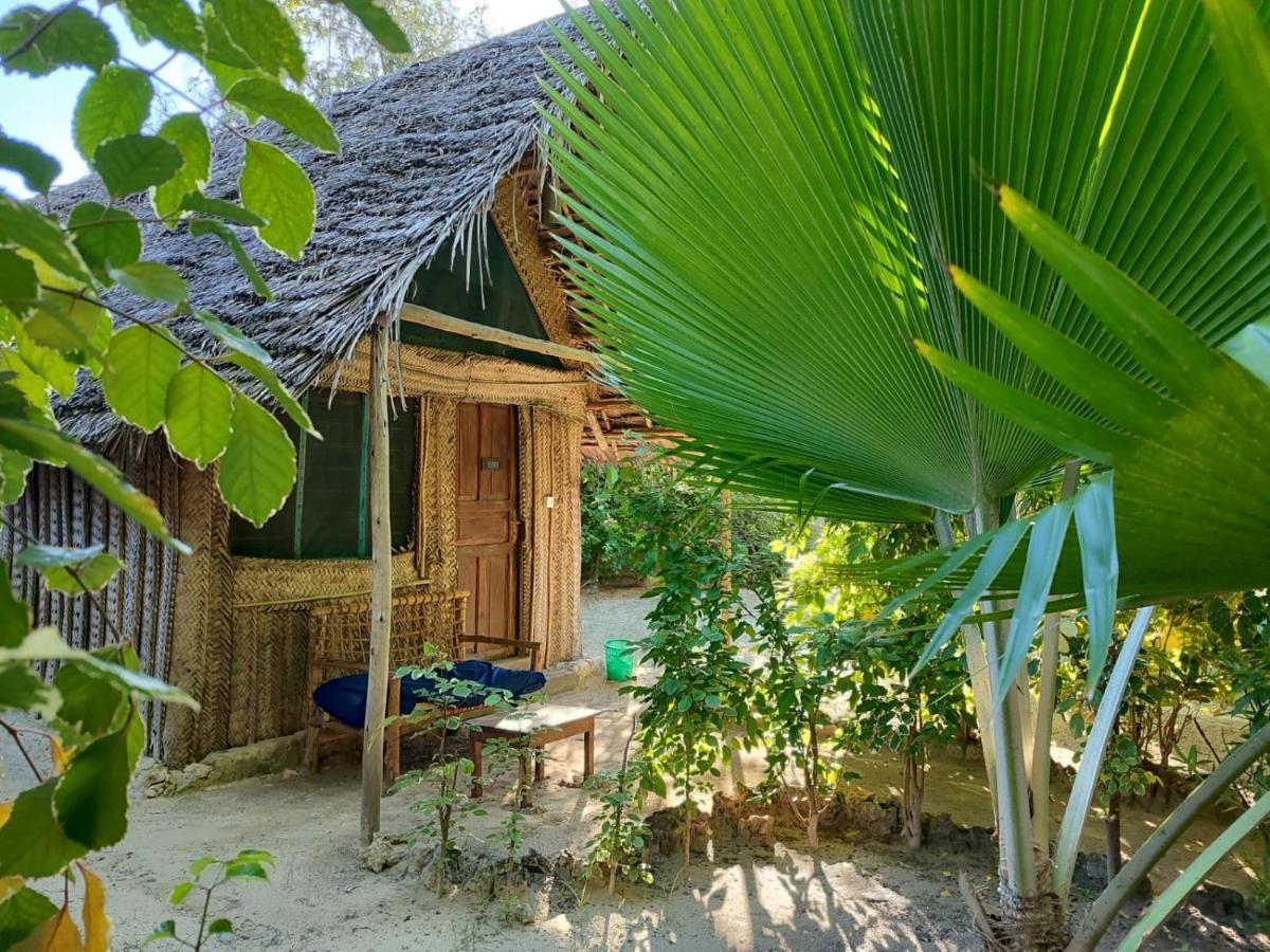 Your Zanzibar Place Paje Eksteriør bilde
