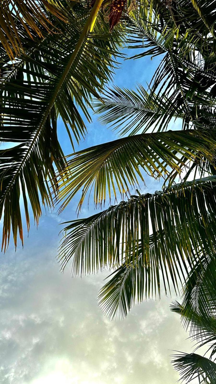 Your Zanzibar Place Paje Eksteriør bilde