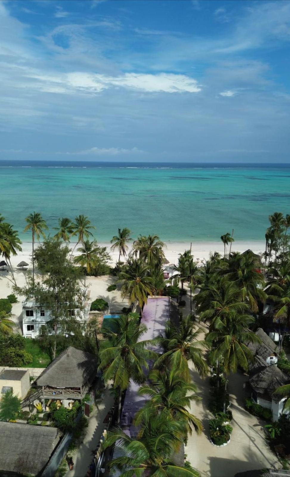 Your Zanzibar Place Paje Eksteriør bilde