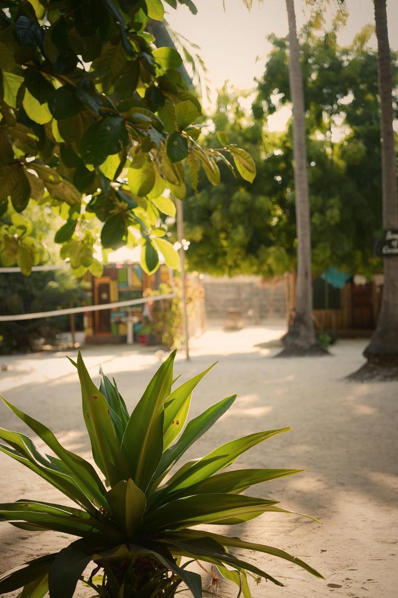 Your Zanzibar Place Paje Eksteriør bilde