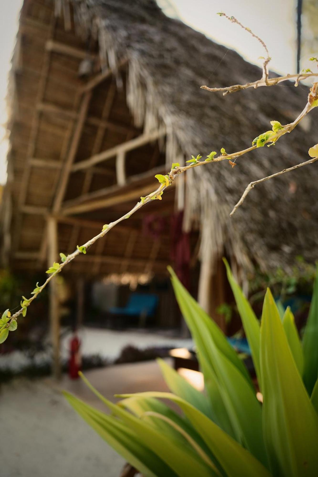 Your Zanzibar Place Paje Eksteriør bilde